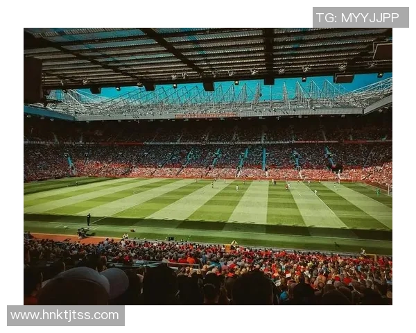 蘑菇足球球星闪耀绿茵场谱写激情与梦想新篇章